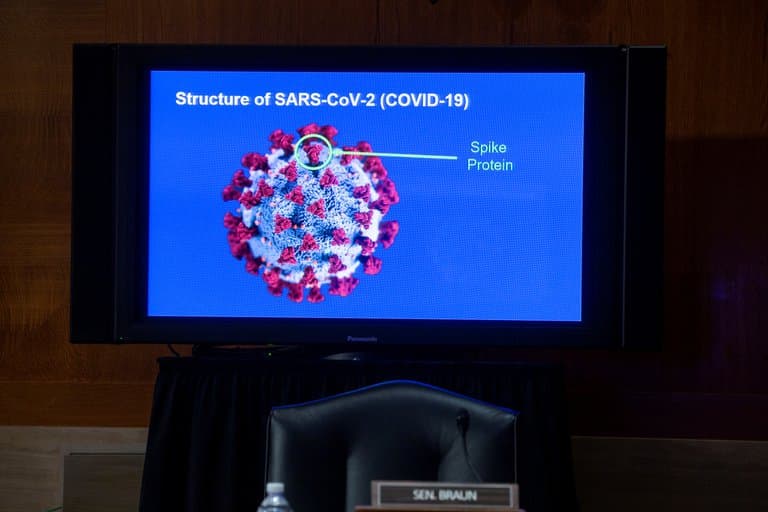 La estructura del coronavirus SARS-CoV-2 (Michael Reynolds/Pool via REUTERS)